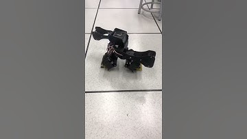 Biped-Humanoid-Robot Jump Rotation