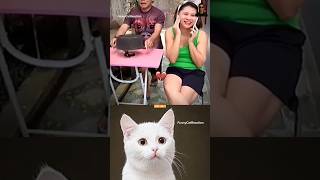 give this video title 😂💀 (warning answer) #cat #dance #memes #trending #funny