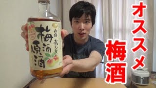 梅酒好きオススメ梅酒原酒の紹介