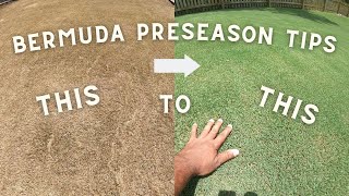 Caring for bermuda grass in the winter and early spring