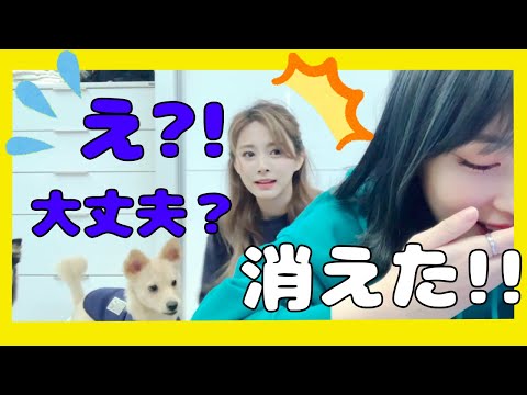 【TWICE日本語字幕】モモとツウィの上手くいかない出前注文ww【KPOP】