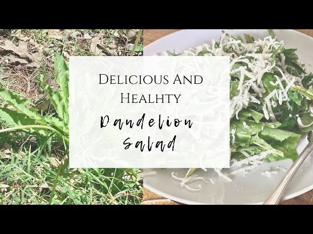 Delicious and Healthy Dandelion Salad - YouTube Delicious and Healthy Dandelion Salad - YouTube