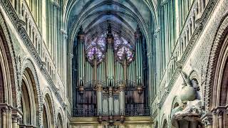 A Salvific Debate - Music
Inspired by the Book - Return To Order -
Produced by A. Zapata for the TFP Three Archangels Music Library
Please see the book at the link below.
God bless!
https://www.amazon.com/Return-Order-Frenzied-Christian-Society-Where/dp/0988214806 A Salvific Debate - Music