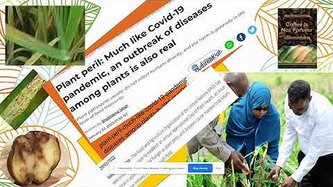 A Sample video : How to plan A short term course on MOOC