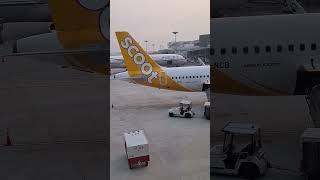 Scoot A321 Neo At Gate