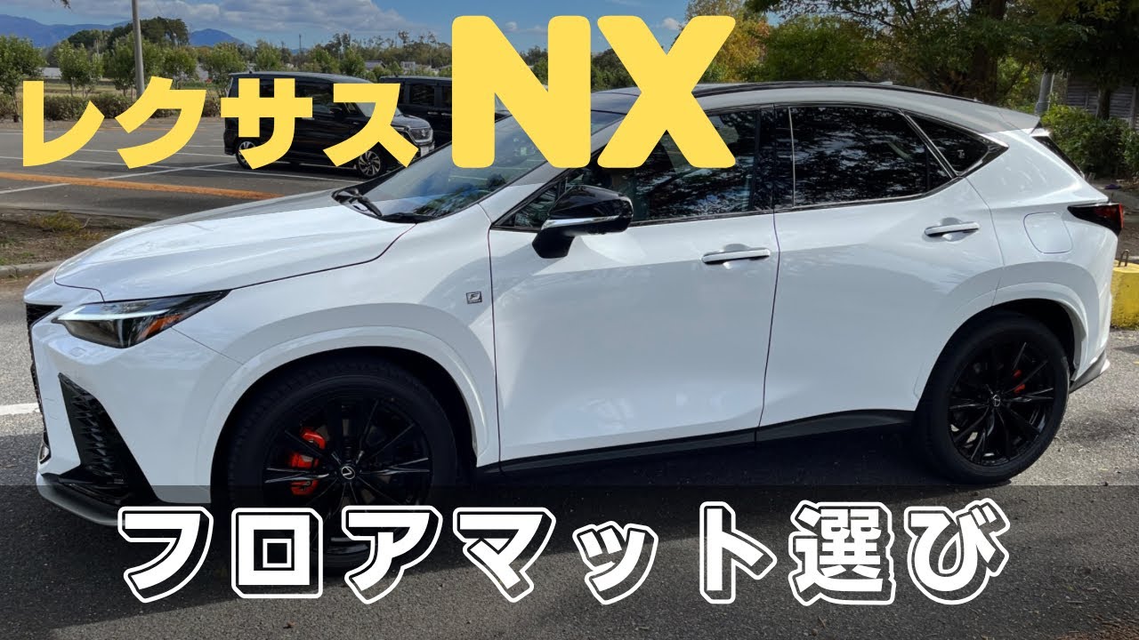 レクサスNX10系純正フロアマットAタイプ こわし