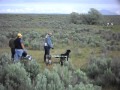 "Whitie" the Black Lab retrieving a double at the Field Trial