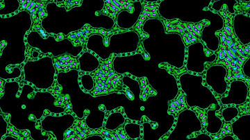 Compilation of Cross-Channel Selective Multiple Neighborhood Cellular Automata