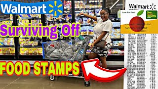 GROCERY SHOPPING WITH FOOD STAMPS AT WALMART | LIVING IN THE PROJECTS |BUDGET FRIENDLY |FAMILY OF 5