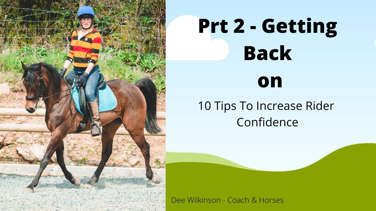 Part 2 Getting back on your horse 10 Top Tips YouTube