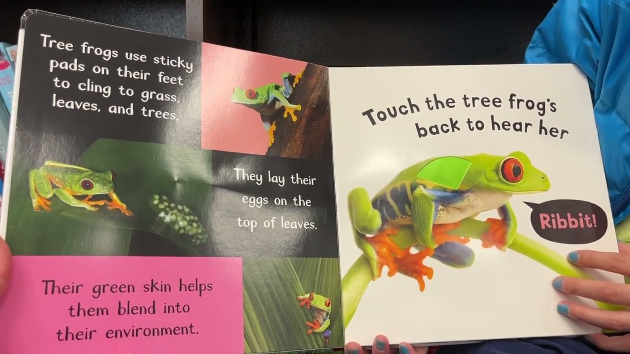 Storytime with Rebekah: Noisy Animals by Libby Walden