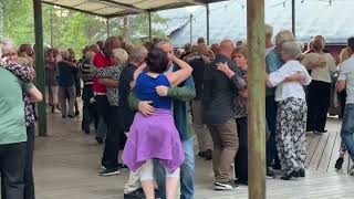Streaplers i Stjärnsund 19/8-26#2