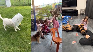 Dogs Doing Funny Things 🤣😂 Best of May 2024😂 by Dog Land 8,036 views 5 days ago 30 minutes