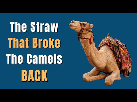 The Straw That Broke the Camel&rsquo;s Back - Idiom Meaning, Origin, Examples