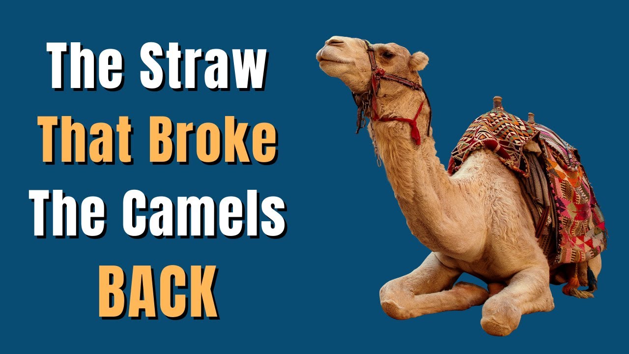 The Straw That Broke The Camel S Back Idioms Online