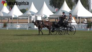 Johan Verhaege Dressage Caip Minden 2013