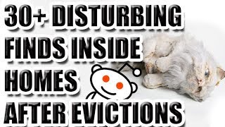 30+ Disturbing Finds Inside Homes After Eviction [ASKREDDIT]