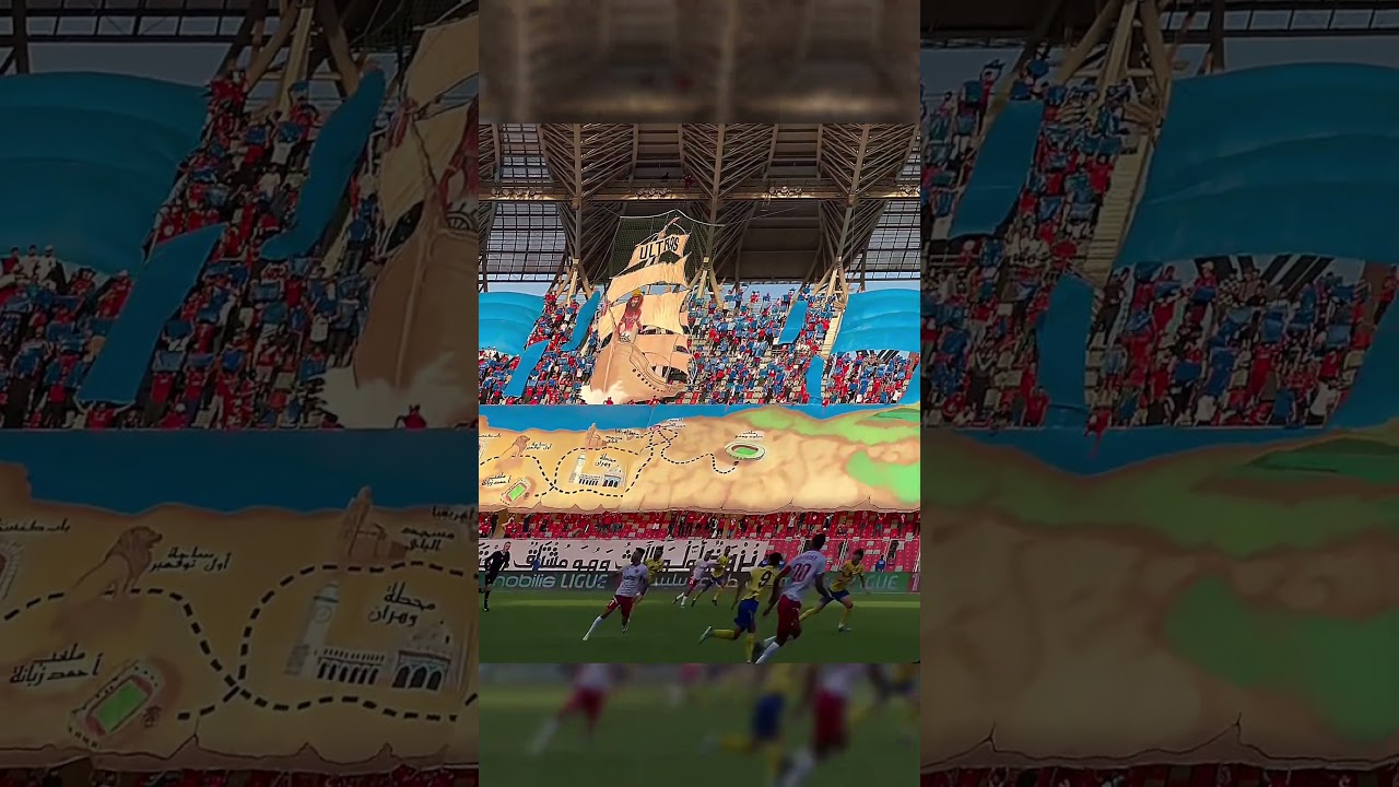 Tifo Ultras Leones Rey (MCO) 