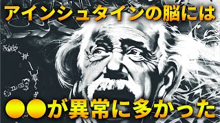 【科学解説】天才の脳を調べてわかった意外な事実