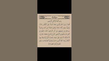 محمد رسول الله | سورة الفتح  #قرآن #قران_كريم #holyquran #قران_كريم_راحة_نفسية #اكسبلور