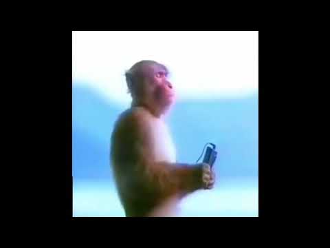 sony walkman monkey little dark age
