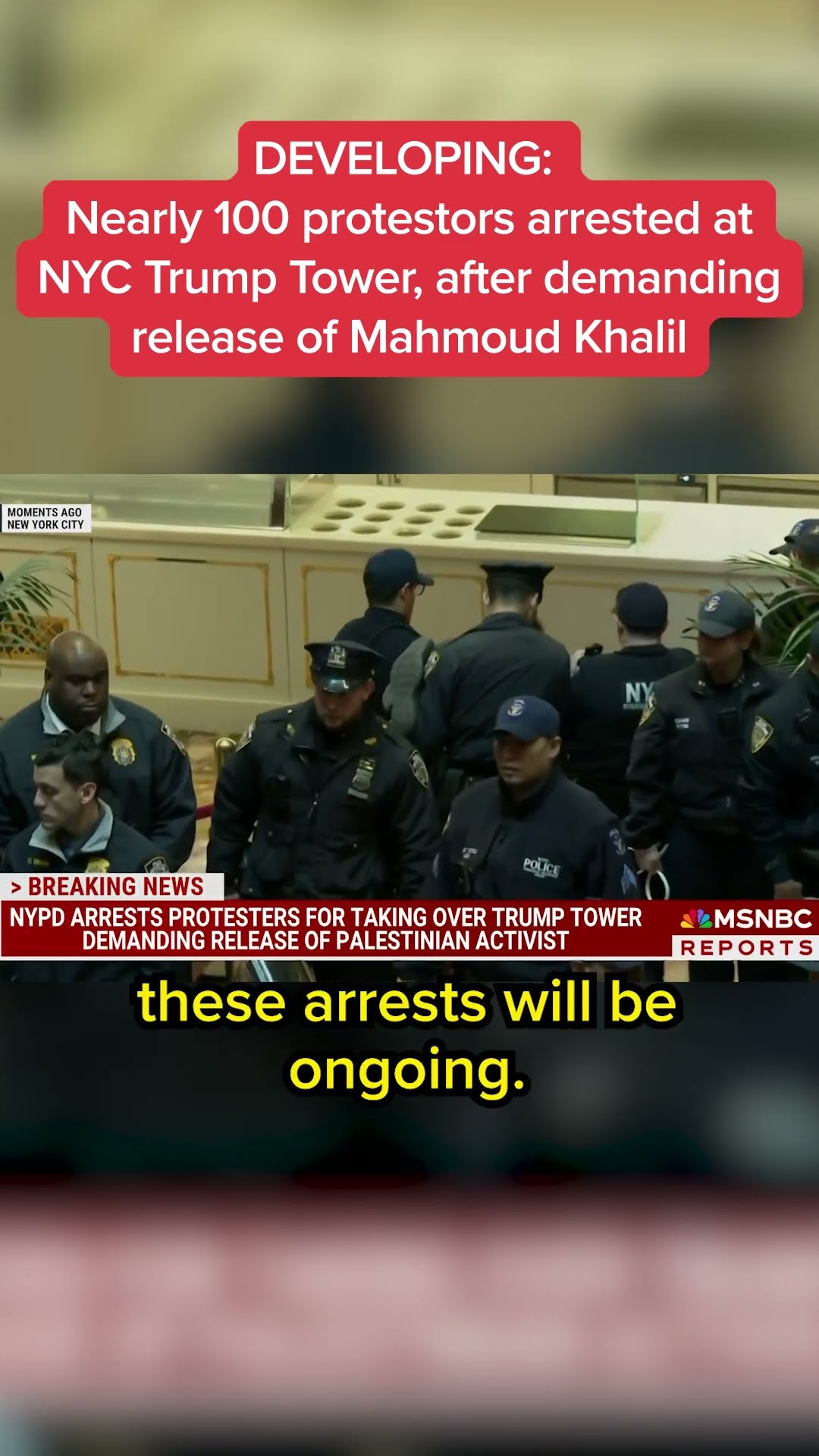 Nearly 100 protestors arrested at NYC Trump Tower, after demanding release of Mahmoud Khalil