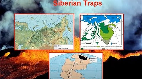 Permian-Triassic Mayhem: Earth