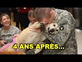 8 pauvres animaux qui retrouvent leur maitre  