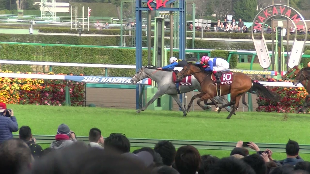 スプリングステークス 1着マウントロブソン号 ａ シュタルケ騎手 個人撮影 16年3月日 月 中山競馬場 Youtube