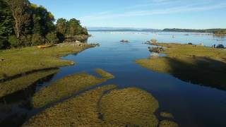 ESCENAS ILQUE- HUELMO - FOOTAGE SCREEN SCENES