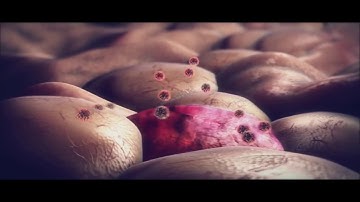 XXIXe Diescommissie der M.B.V. Mebiose, AntiboDies