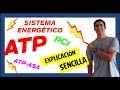 ⚡ SISTEMAS ENERGETICOS ATP PC ⚡ (Fácil de entender) (1º parte) Papel de ENZIMAS en el metabolismo