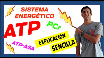 ¿Cuál es la función de los elementos energéticos?