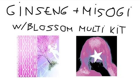 GINSENG/MISOGI COOKUP W/BLOSSOM MULTI KIT | FL STUDIO TUTORIAL