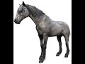 기수 도전과제 10 - 머스탱, Horseman challenge 10 - Mustang