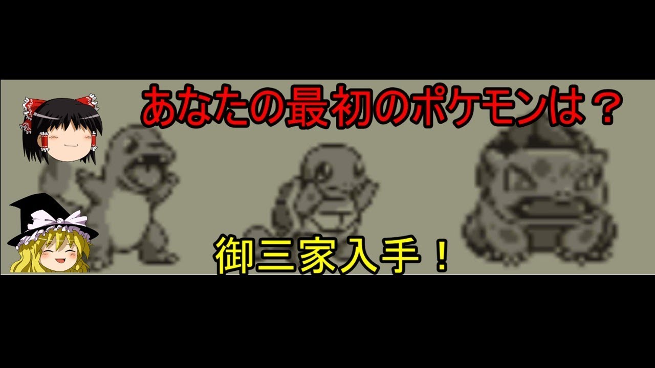 ポケモン ピカチュウ版 Rom イメージポケモンコレクション