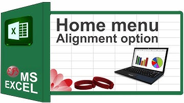 MS excel 2013 class 6 home menu alignment  Urdu/Hindi