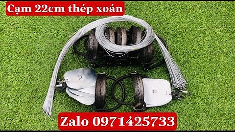 Cạm kiềng bẫy thú mẫu lớn 22cm thép xoán danh cho các bác thích săn hàng khủng 0971425733_ hasb