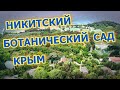 Будни 13. Поездка в Никитский ботанический сад