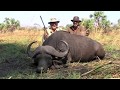 Chasse Mozambique "Buffle" Grupo Safaris