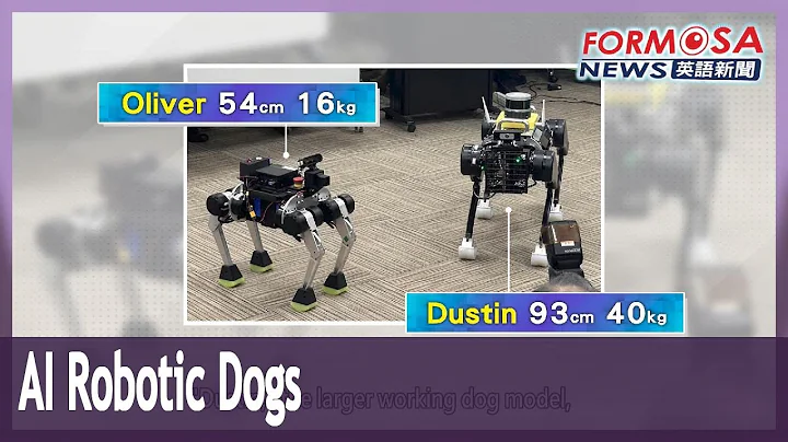 Taiwan unveils AI-powered robotic dogs｜Taiwan News - DayDayNews