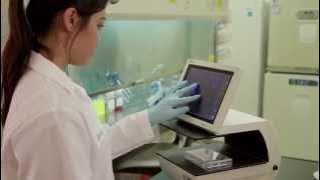 PureBlu™ DAPI Nuclear Staining Dye for Fixed Cells - A Fast Approach to Staining Nuclei