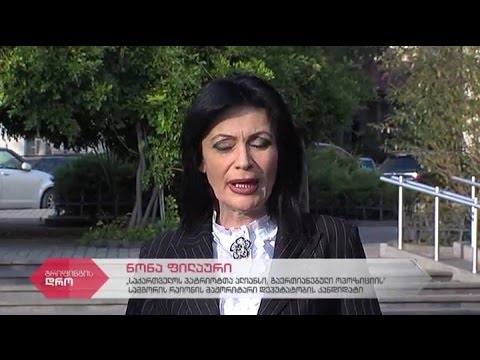 \"პატრიოტთა ალიანსის\" მაჟორიტარობის კანდიდატის ნონა ფილაურის შეხვედრა მოსახლეობასთან