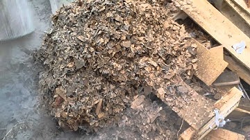 Removing bee hives from attic part 2