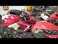 ngày làm việc của shop mình ạ