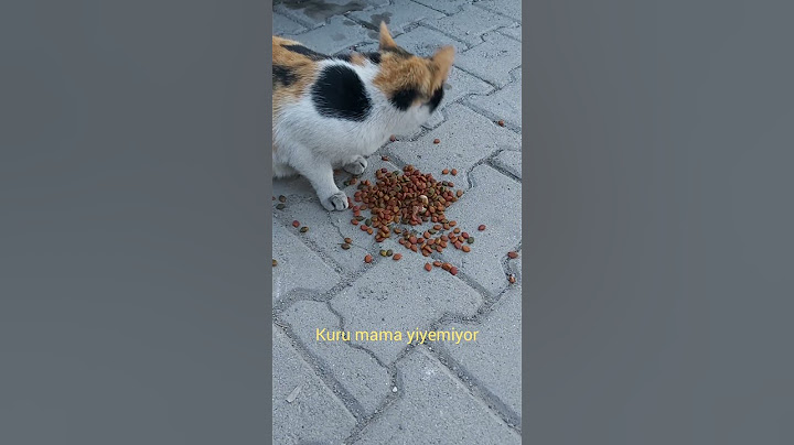 Kaç kişi yanından geçti görmediler bile seni 🥺Hastayım yardım edin diyemiyor😭