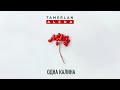 TamerlanAlena - Одна Калина