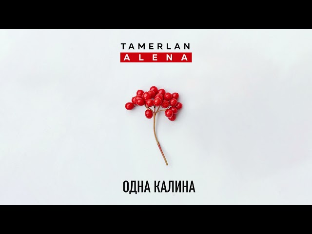 Тамерлан и Алена - Одна Калина