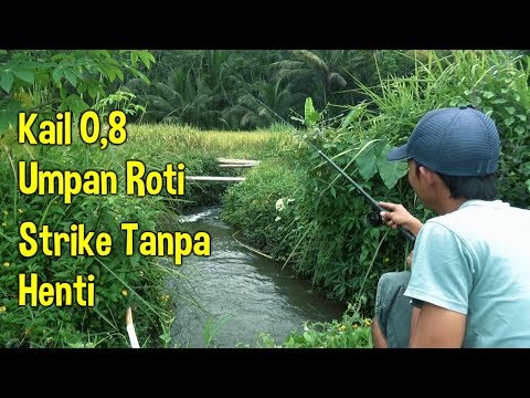Ini Doa Mancing Ikan Nabi Khidir Supaya Mendapat Banyak Tangkapan Galamedia News