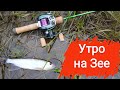 Утро на Зее. Шестичастная стекляха и Daiwa Alphas Air Stream Custom